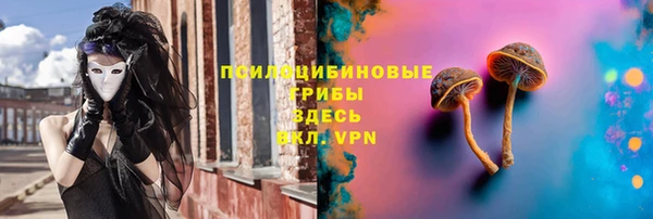 шишки Михайлов