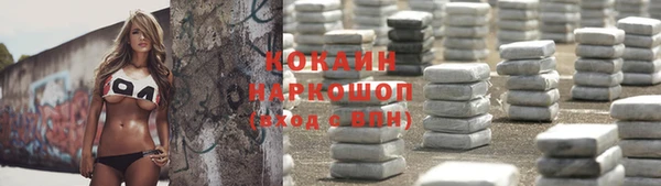 шишки Алапаевск