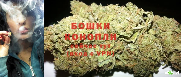 прущие крисы Надым