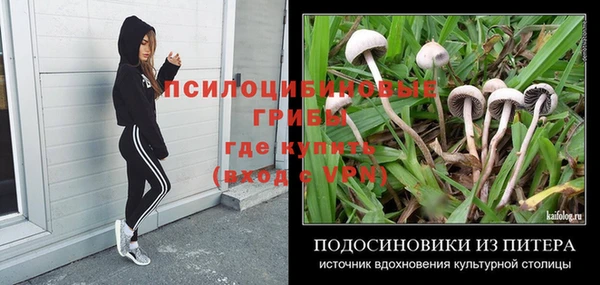каннабис Михайловка