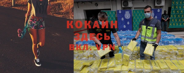 прущие крисы Надым