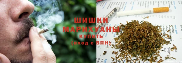 шишки Михайлов