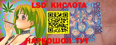 амф Гатчина