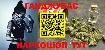 амф Гатчина