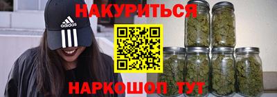 тгк Гай