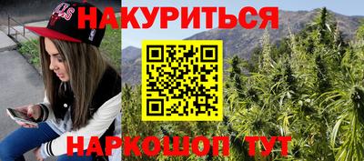тгк Гай