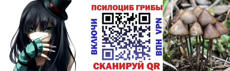 Псилоцибиновые грибы мухоморы  наркошоп  Кисловодск 