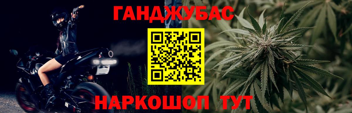 Каннабис индика Кисловодск